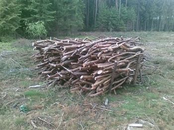 Drewno gałęziówka za 1 m przestrzenny